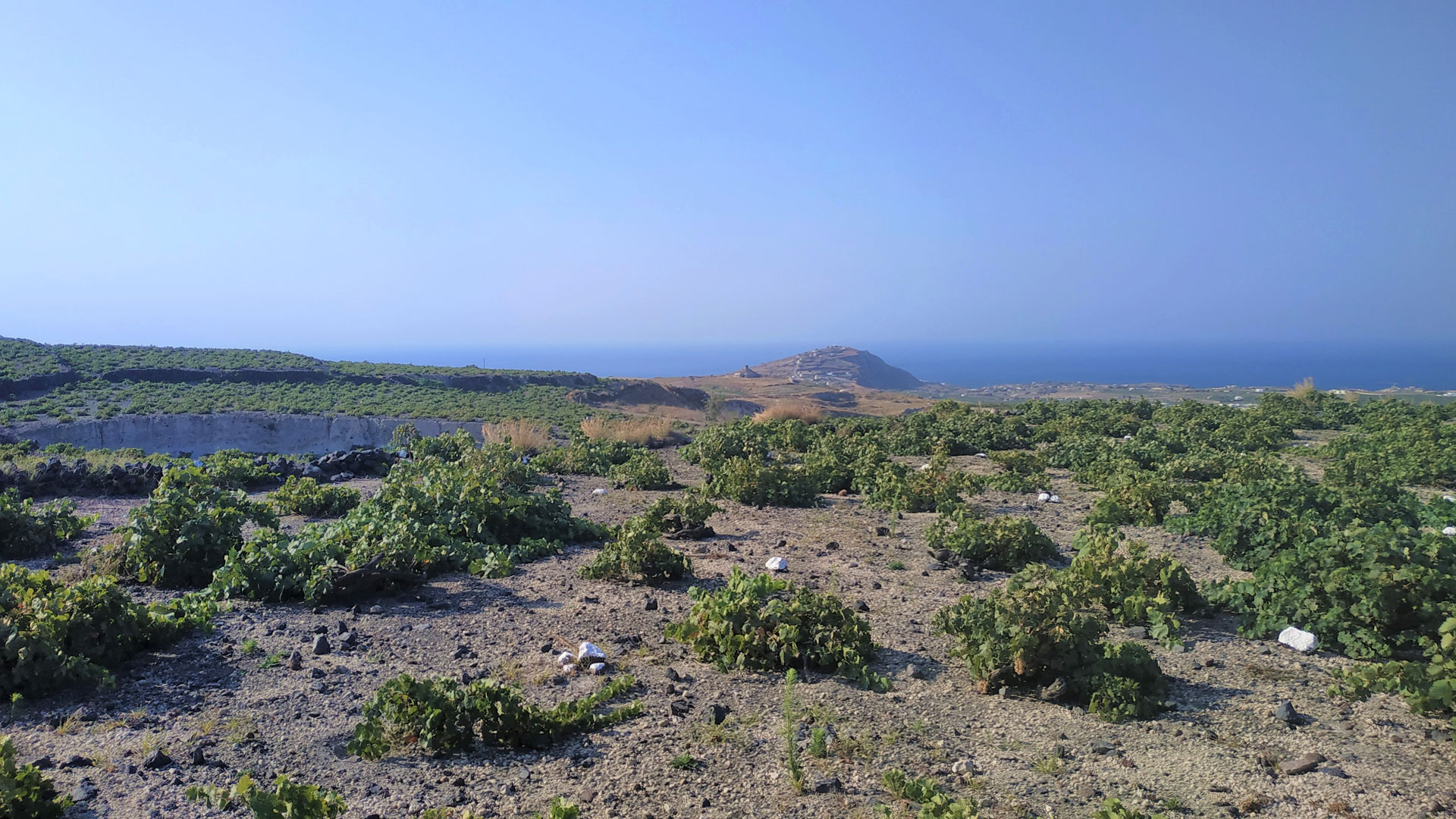 ANHYDROUS Αμπελώνας Σαντορίνη